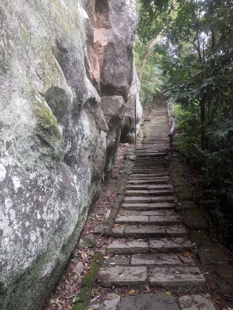 DSC_2829.JPG - 獅頭山  獅山古道  (02)