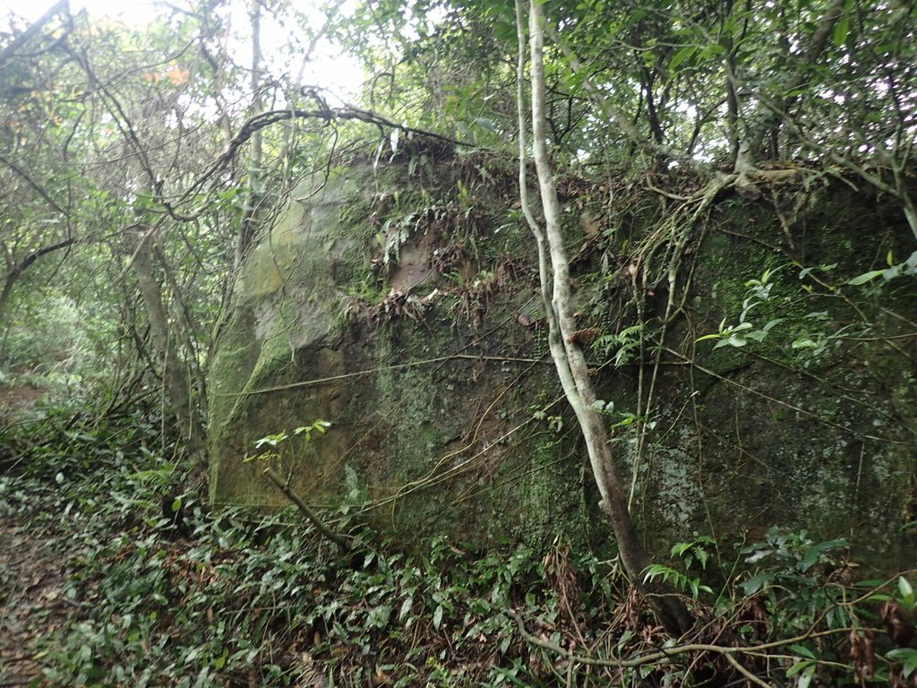 P3308231.JPG - 萬里  大路嶺古道行