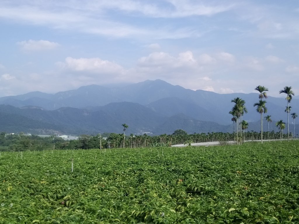 DSC_1898.JPG - 埔里  大坪頂  百香果園