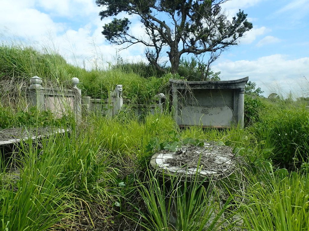 水上  牛稠埔  洪呈祥墓園