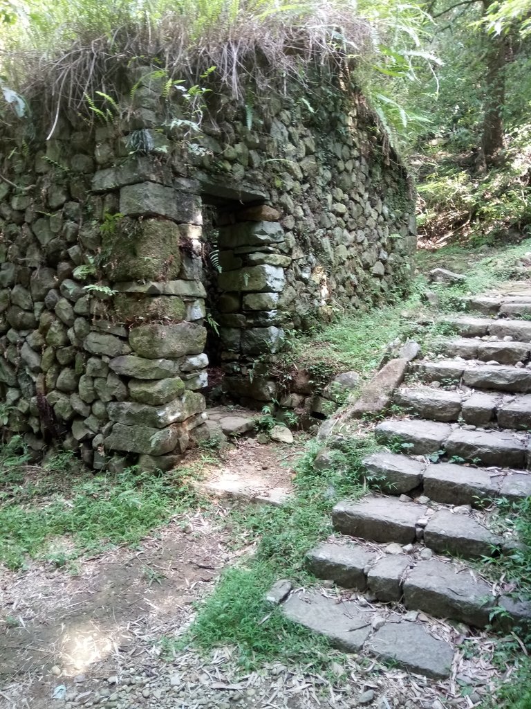 DSC_8670.JPG - 再訪  金包里大道  (魚路古道)