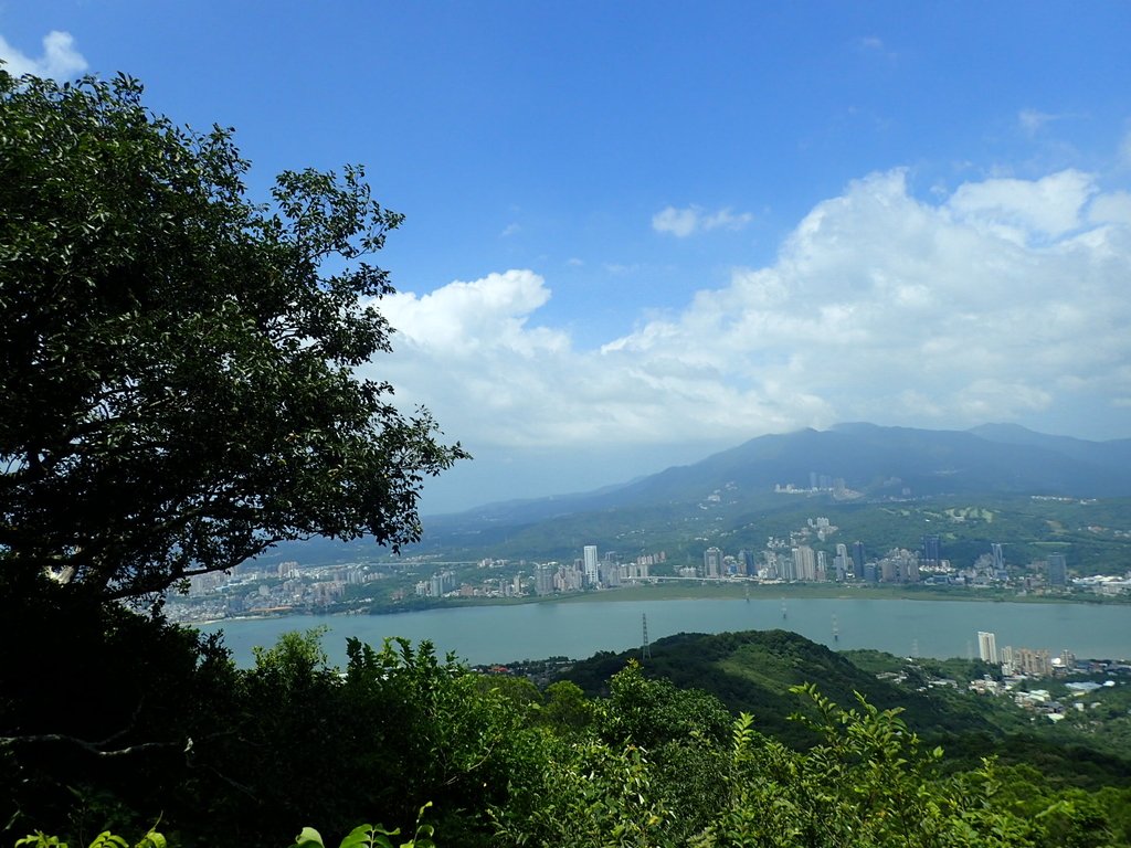 P8076262.JPG - 觀音山之  北橫古道