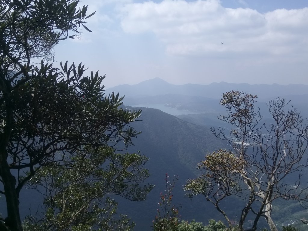 DSC_4082.JPG - 魚池  大尖山登山步道