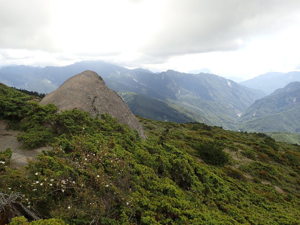 P7246033.JPG - 合歡山  北峰之美  (下)