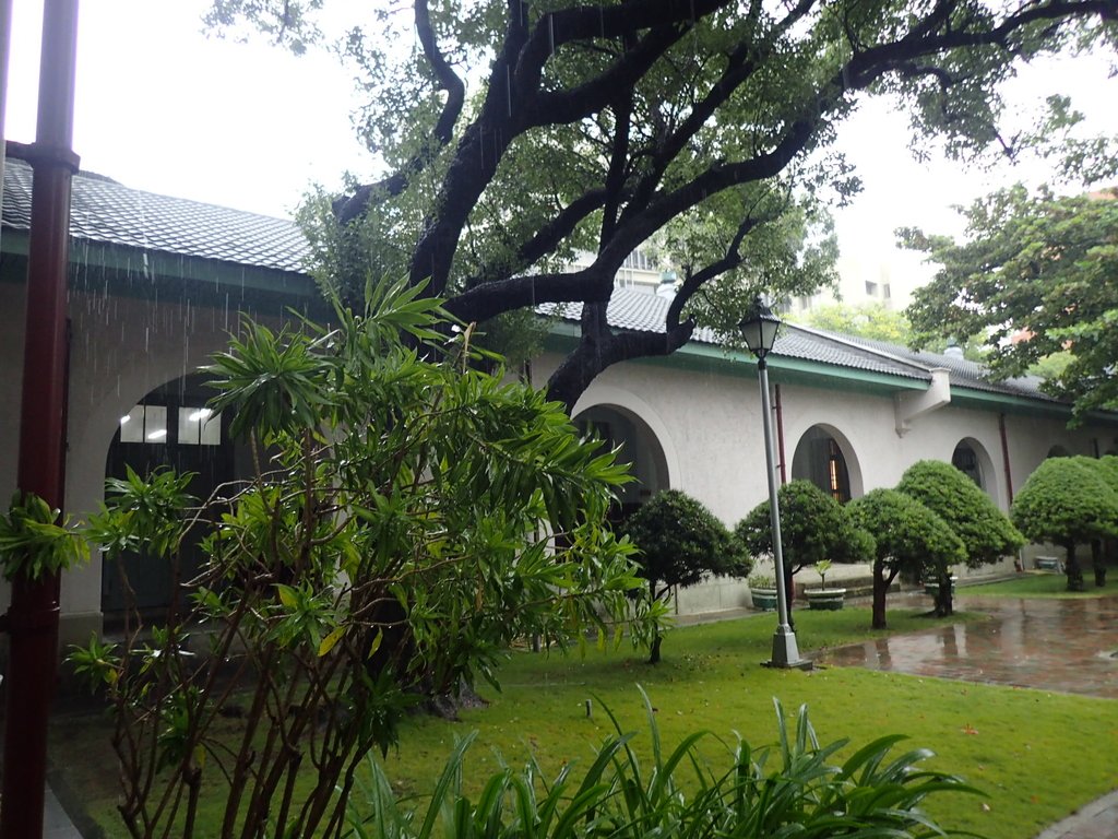 PB074362.JPG - 台南  成功大學  校園掠影