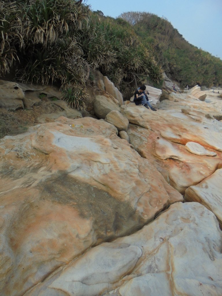 DSC01700.JPG - 金山  獅頭山  神秘海岸