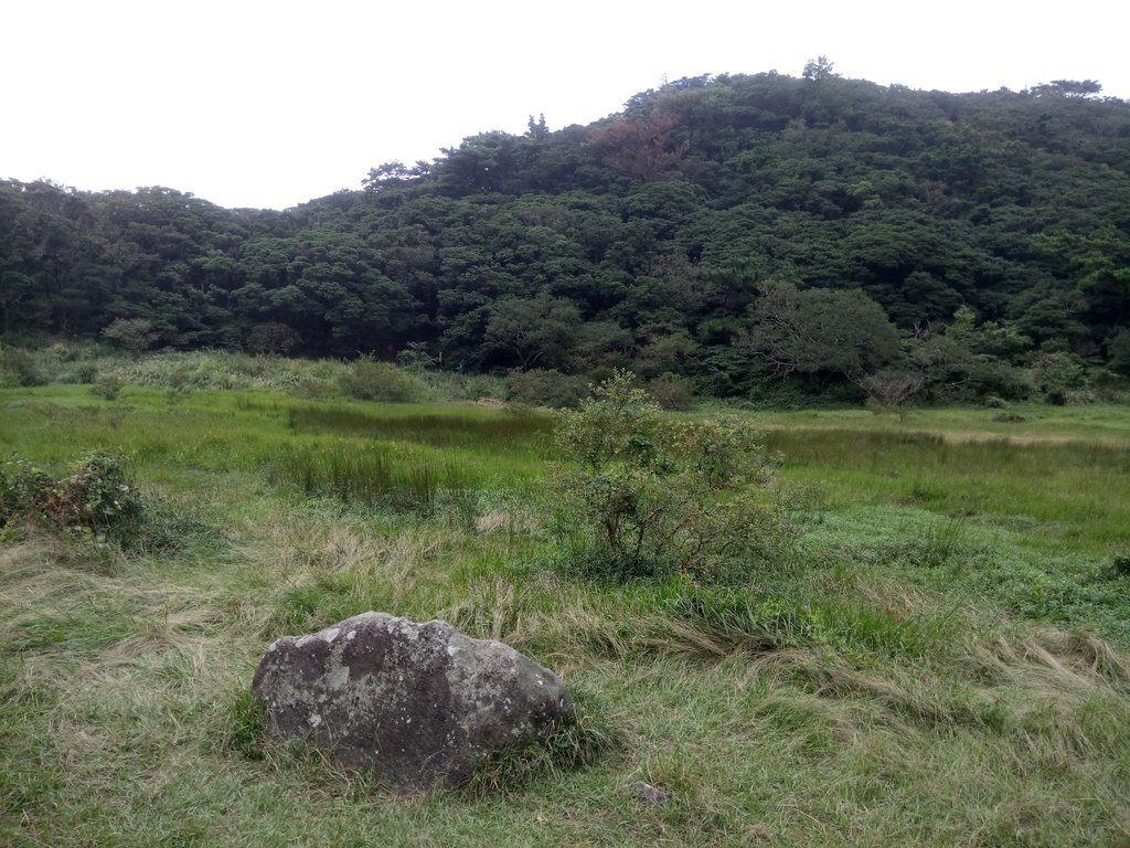 DSC_6915.JPG - 北投  面天山  向天湖步道