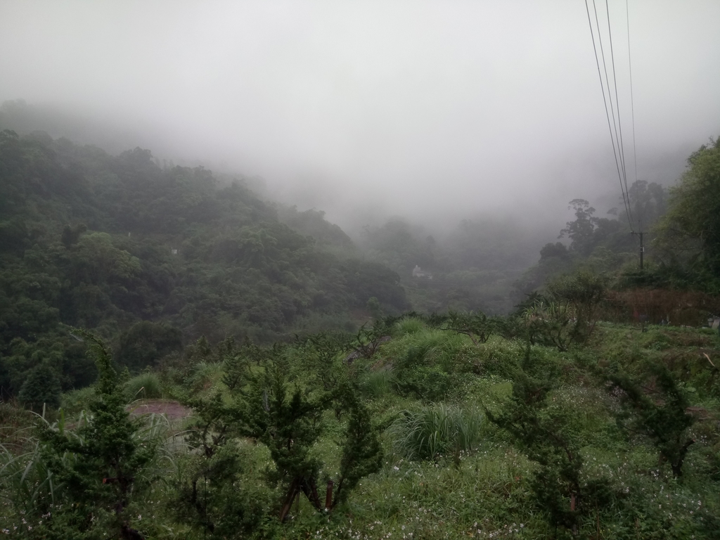 DSC_8451.JPG - 深坑  炮子崙登山步道