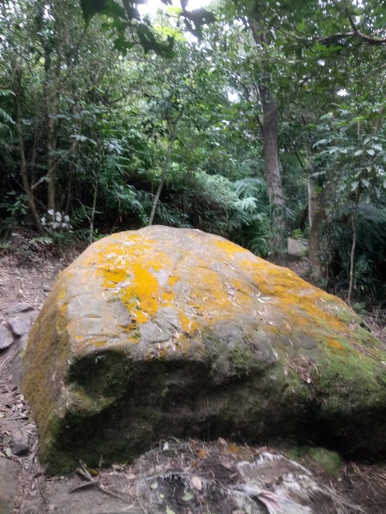 DSC_5834.JPG - 內湖  大崙尾山