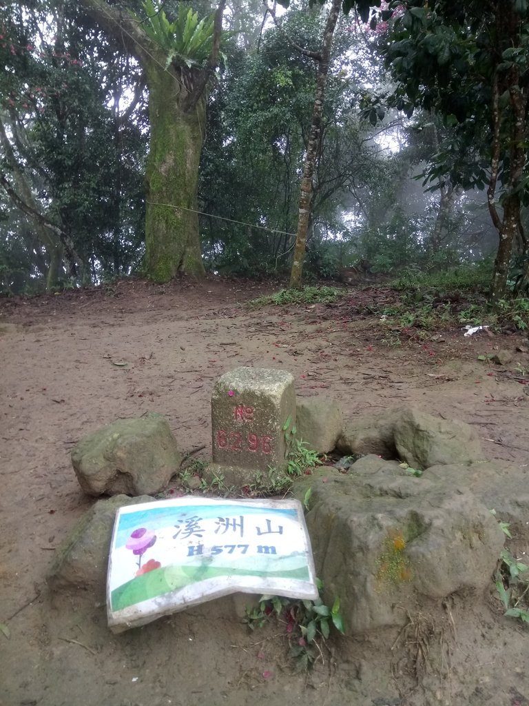 DSC_4886.JPG - 大溪  溪洲山登山步道