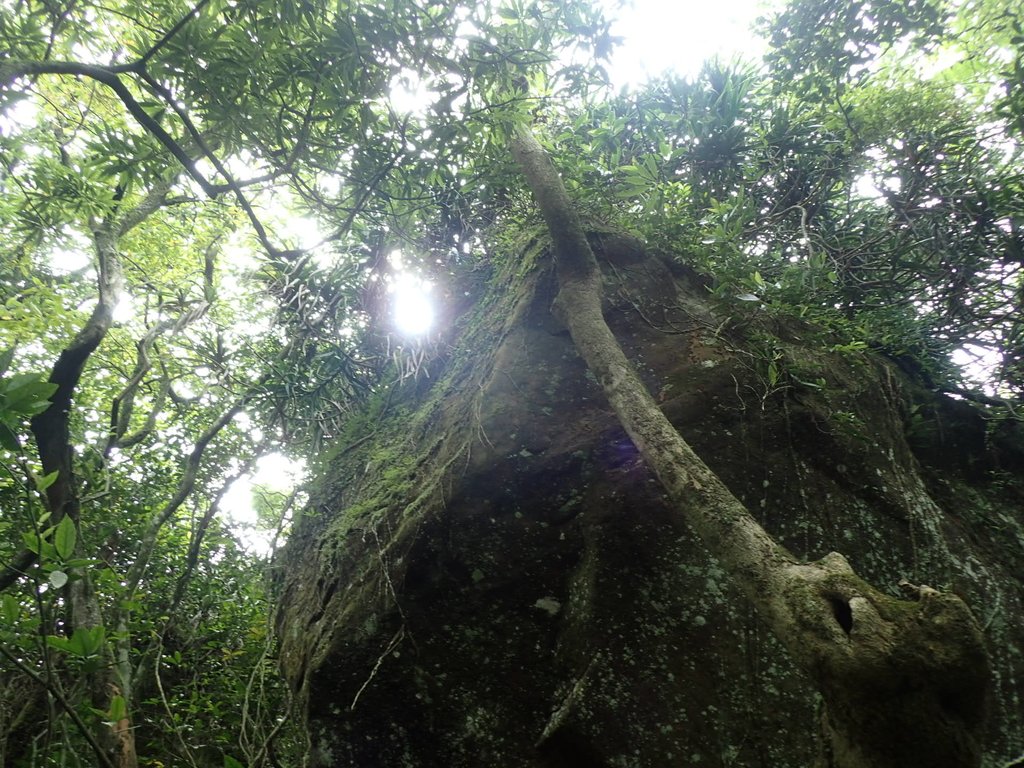 P6090354.JPG - 瑞芳  三貂嶺山  三貂大崙