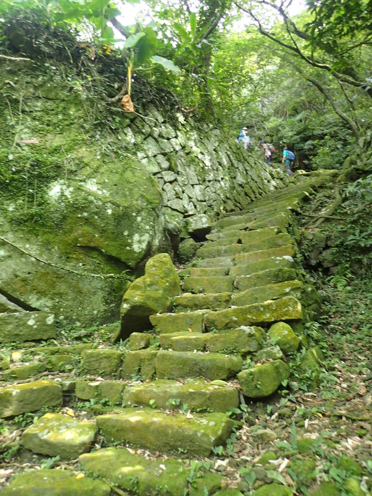 P7062190.JPG - 猴硐  小粗坑古道