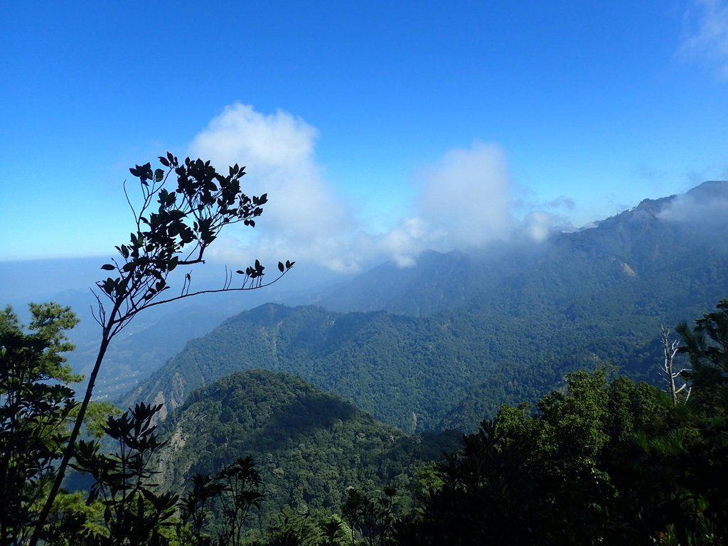 PA185579.JPG - 台中  和平  稍來山