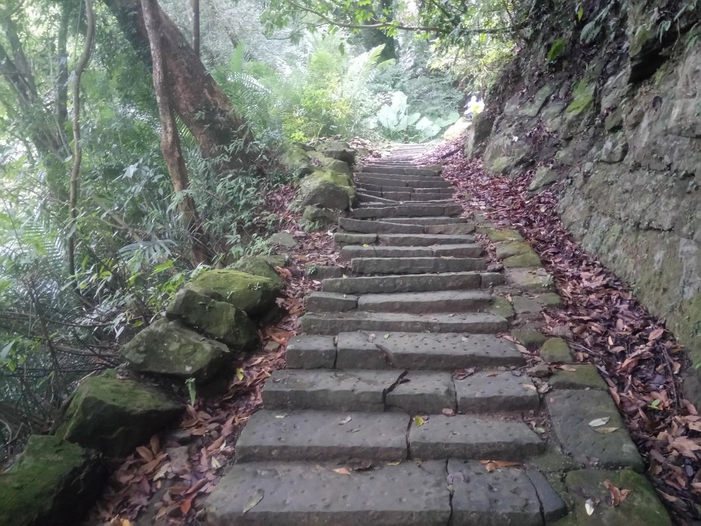 DSC_2845.JPG - 獅頭山  獅山古道  (02)