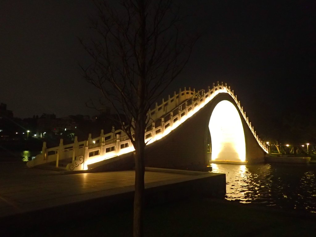 P3116978.JPG - 內湖  大湖公園之夜色