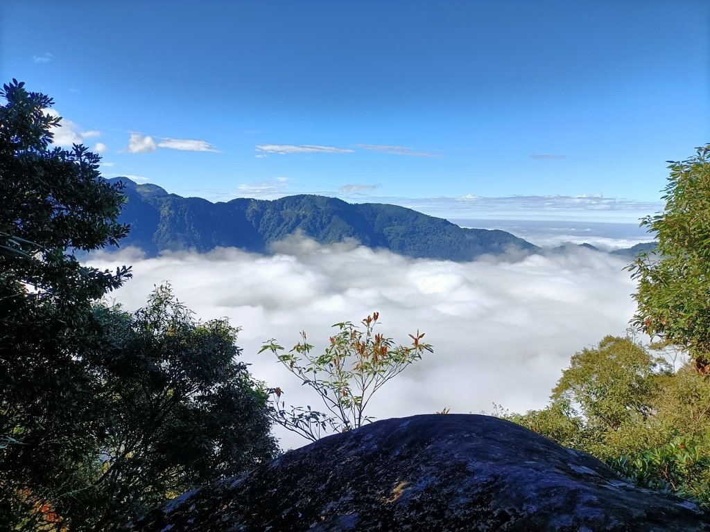 IMG20201205092448.jpg - 鹿谷  溪頭  南鳳凰山