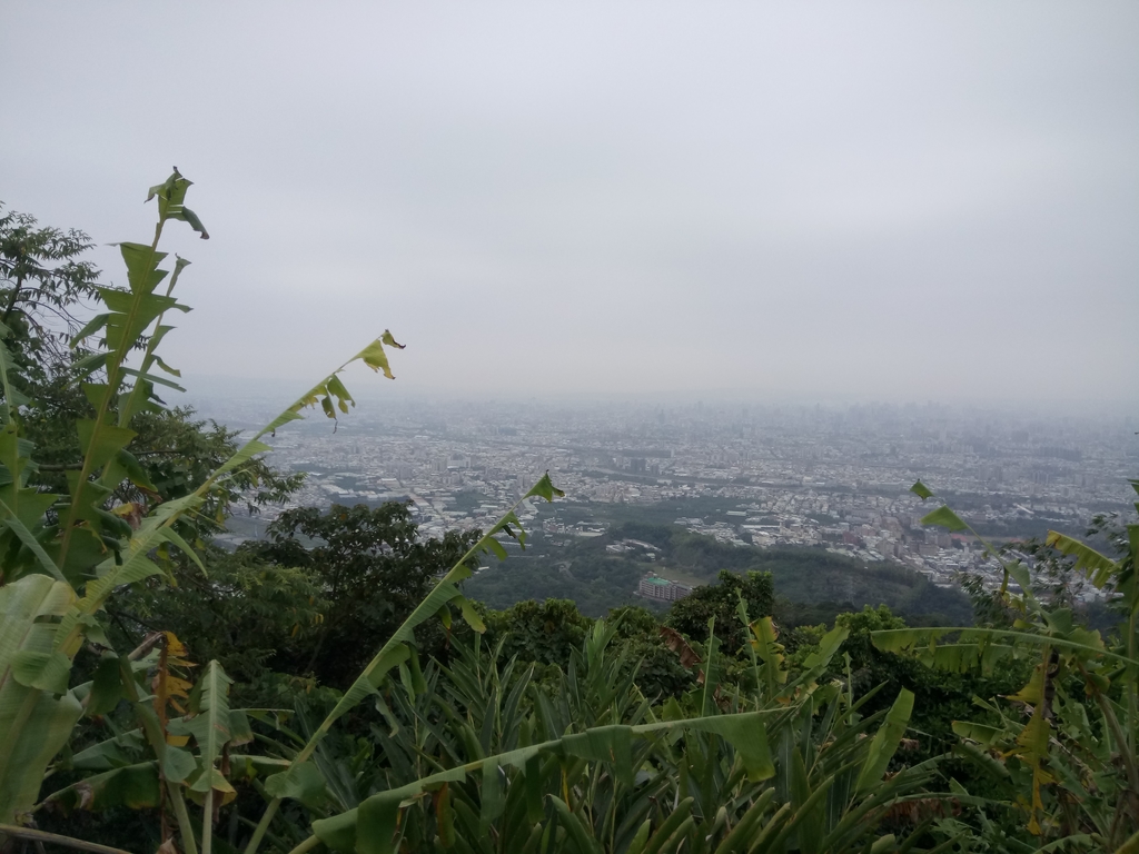 DSC_4480.JPG - 太平  三汀山  (望高寮)