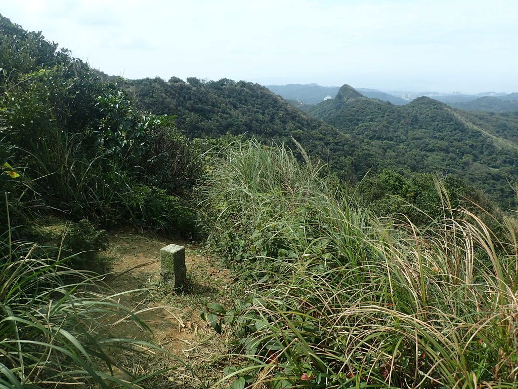 P2145404.JPG - 秀崎山  瑞芳山  龍潭山