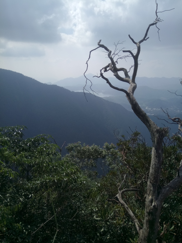 DSC_4098.JPG - 魚池  大尖山登山步道