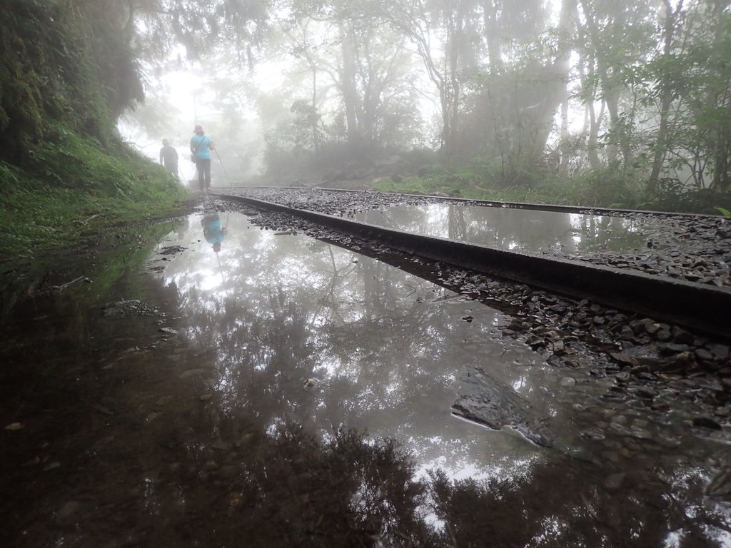 P8226795.JPG - 太平山 見晴懷古步道