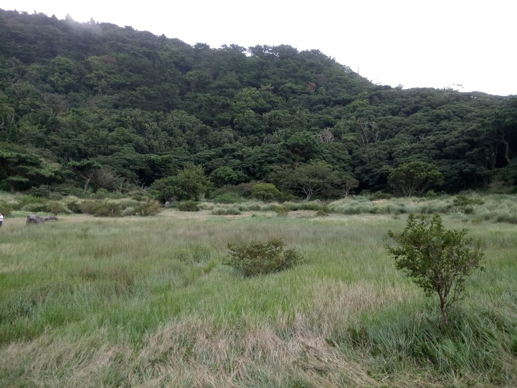 DSC_6917.JPG - 北投  面天山  向天湖步道