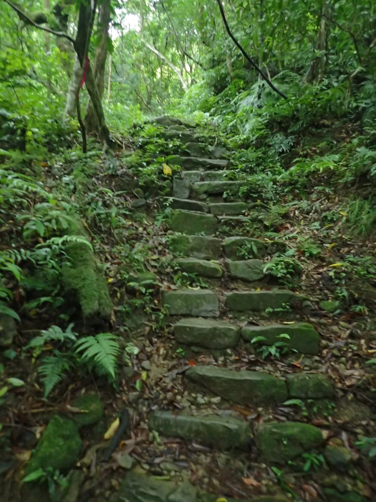 P9157926.JPG - 淡蘭古道  暖東舊路