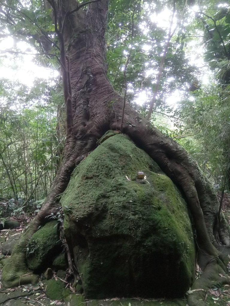 DSC_3154.JPG - 寶明寺  西國石佛巡禮