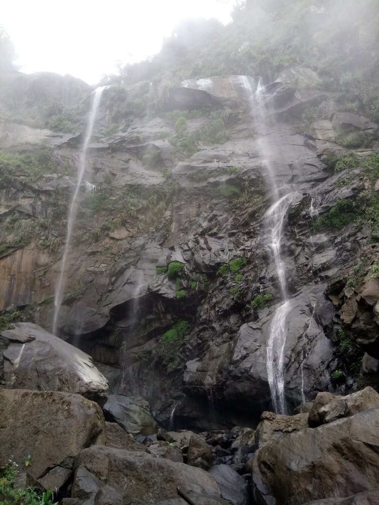 DSC_1178.JPG - 草嶺  蓬萊瀑布步道