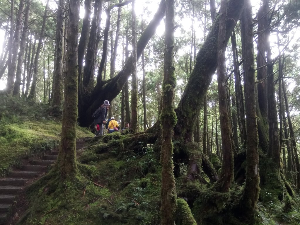 DSC_0075.JPG - 太平山  翠峰湖環山步道  01