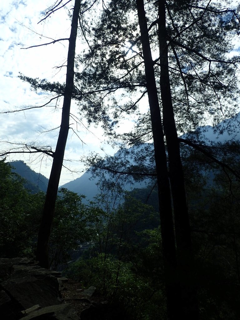 P5012276.JPG - 谷關七雄之  波津加山