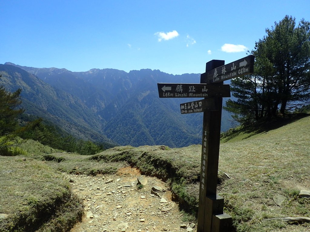 P3268141.JPG - 鹿林山  麟趾山步道  (02)