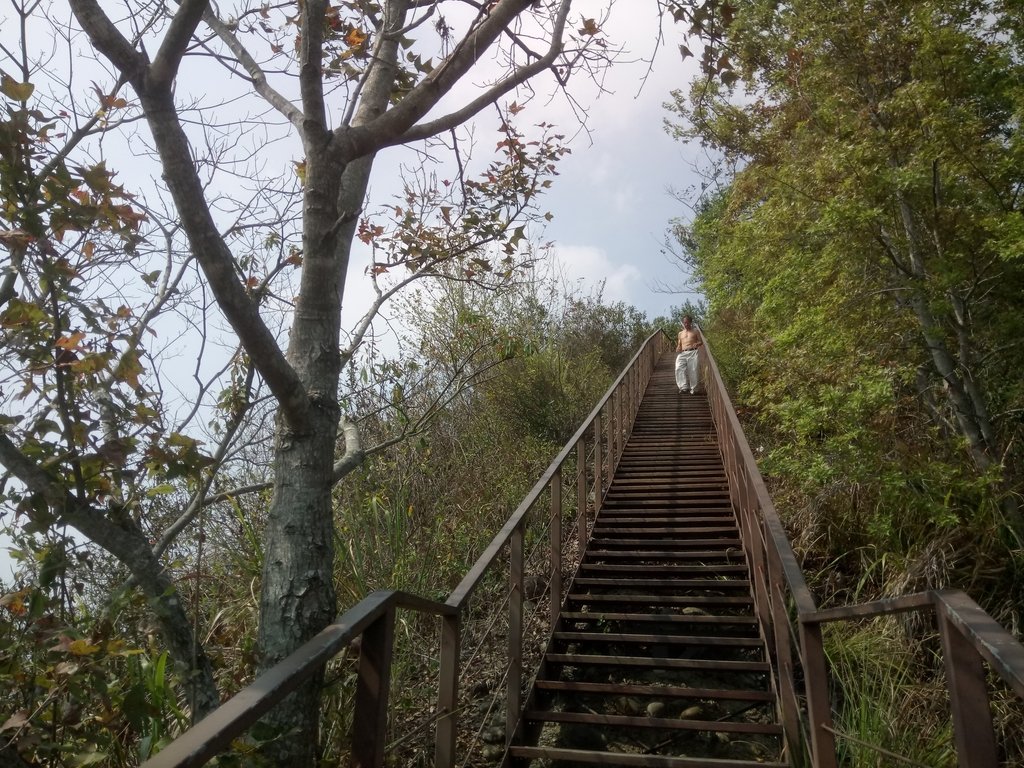 DSC_7333.JPG - 草屯平林  九九峰森林步道