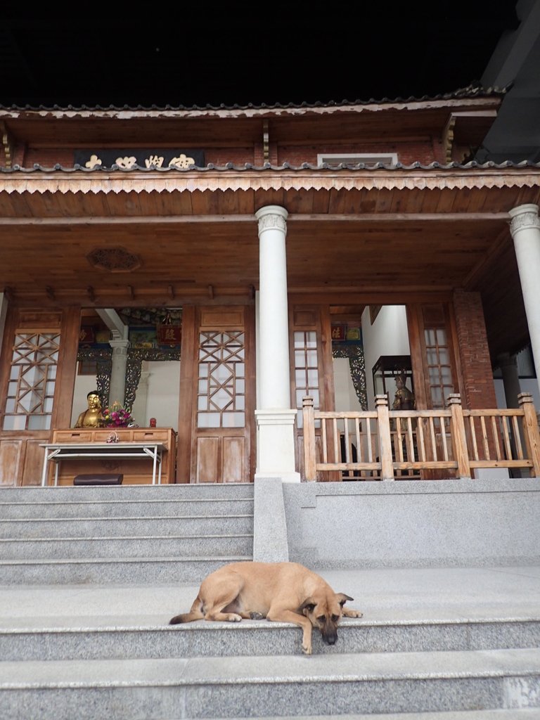 PA125147.JPG - 再訪---  台中  寶覺禪寺