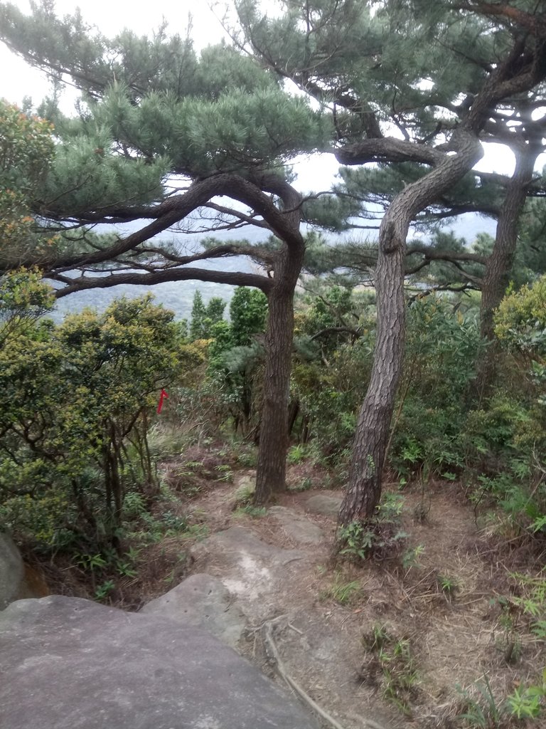 DSC_6988.JPG - 汐止  柯子林山  如意湖