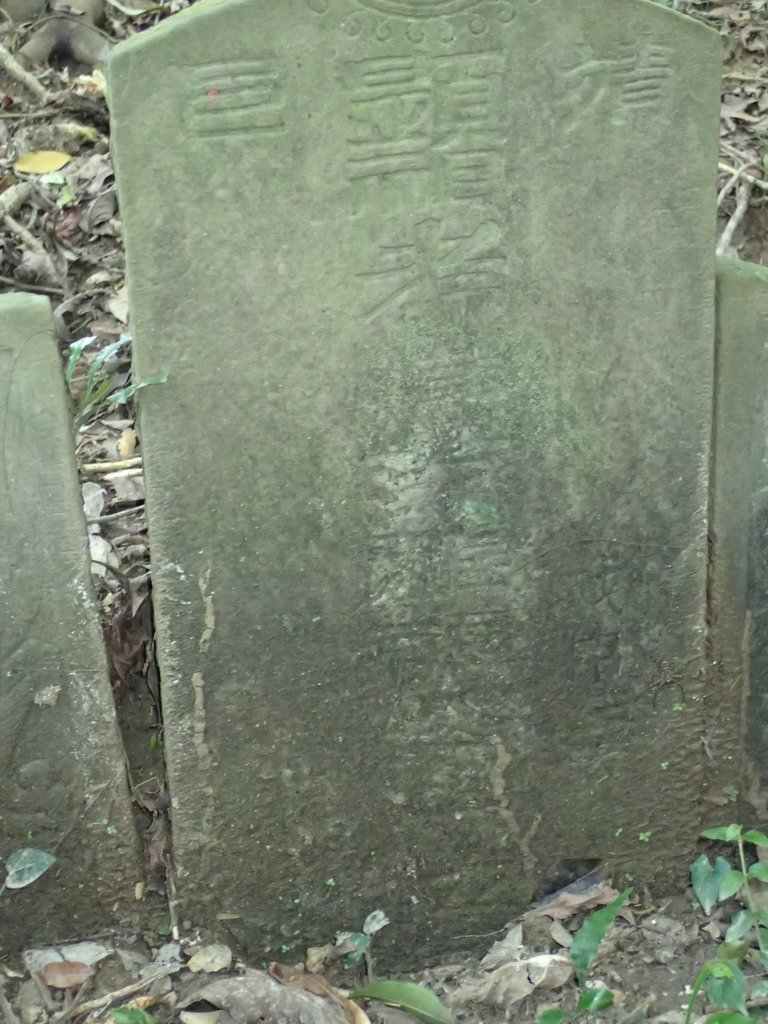 P7072231.JPG - 瑞芳  蚊子坑古道  龍洞稜