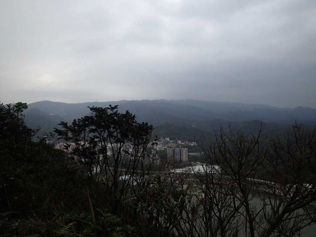 P3116942.JPG - 內湖  白鷺鷥山親山步道