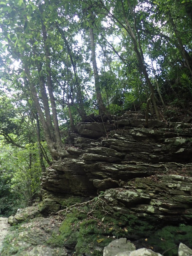 P6284900.JPG - 魚池  澀水森林步道  水上瀑布