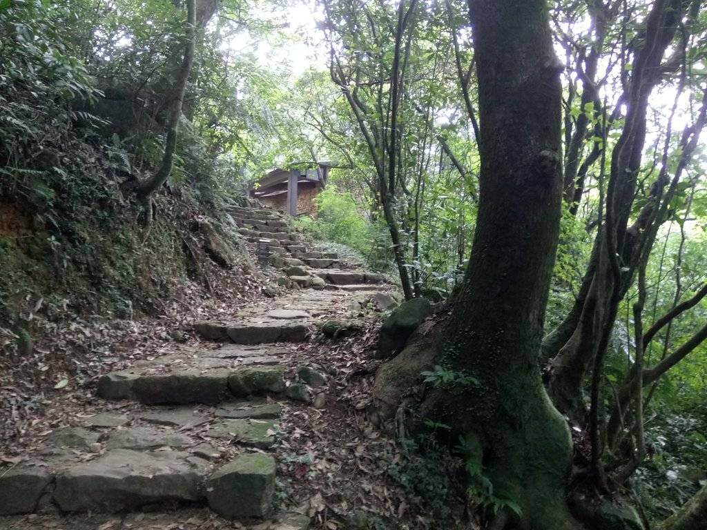 DSC_8679.JPG - 再訪  金包里大道  (魚路古道)