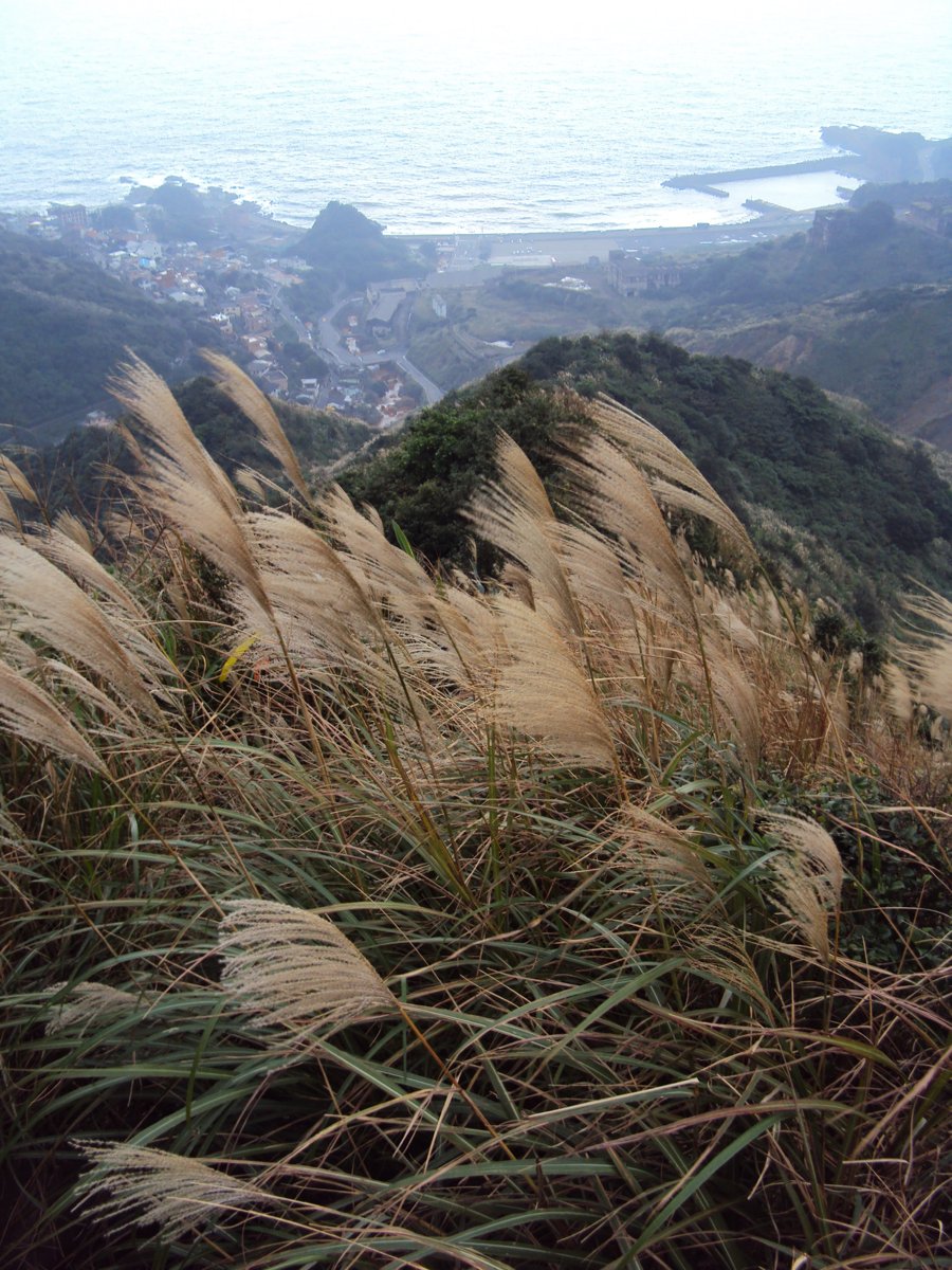 DSC03301.JPG - 報時山步道