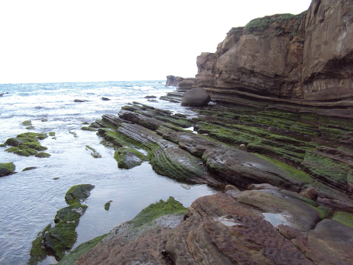 DSC06342.JPG - 瑞芳  南雅海岸岩石之美