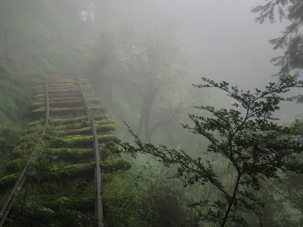 P8226808.JPG - 太平山 見晴懷古步道