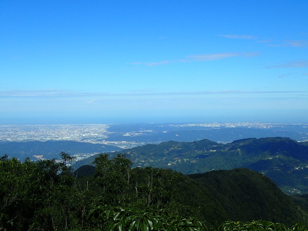 PB257503.JPG - 復興  東眼山森林步道