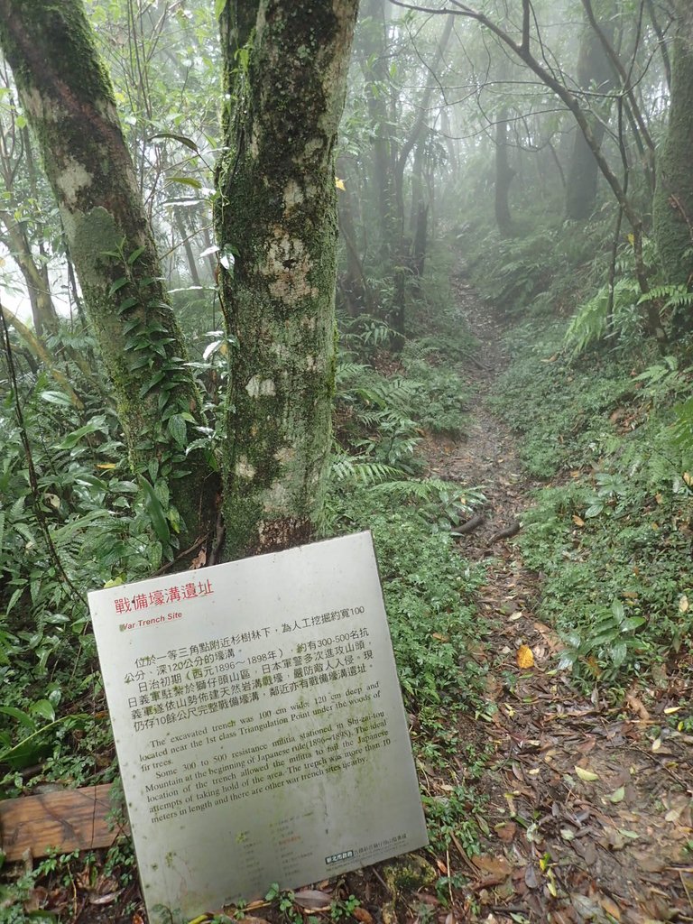 P1132884.JPG - 新店  獅子頭山隘勇線  01