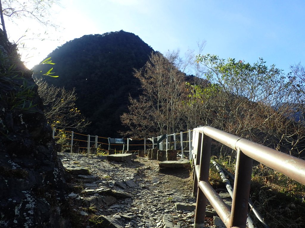 P1022701.JPG - 東埔  八通關古道