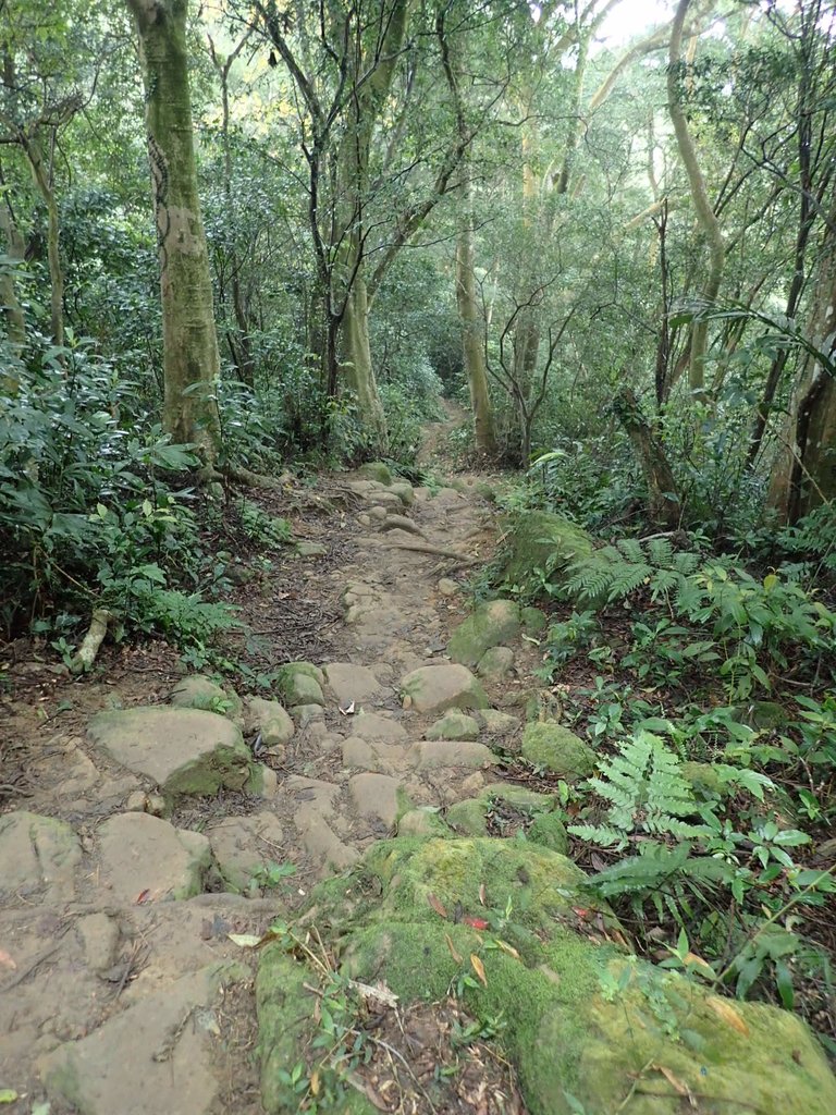 P2107493.JPG - 大溪  溪洲山登山步道