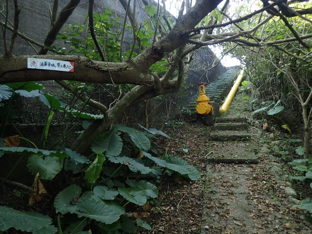 PB179527.JPG - 基隆  球子山(火號山)步道