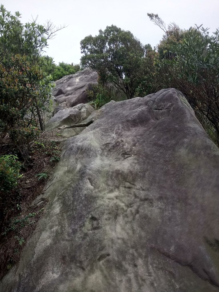 DSC_6989.JPG - 汐止  柯子林山  如意湖