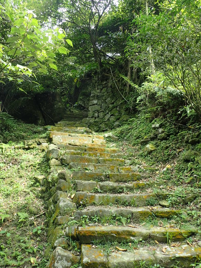 P7062192.JPG - 猴硐  小粗坑古道