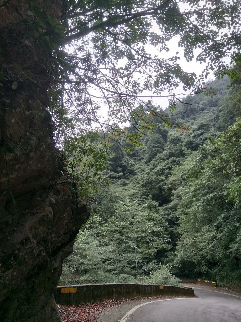 DSC_2686.JPG - 台中  和平  稍來山南峰