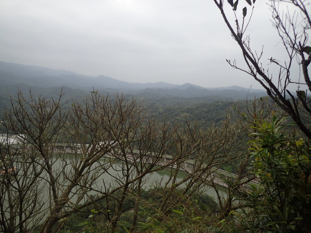 P3116944.JPG - 內湖  白鷺鷥山親山步道